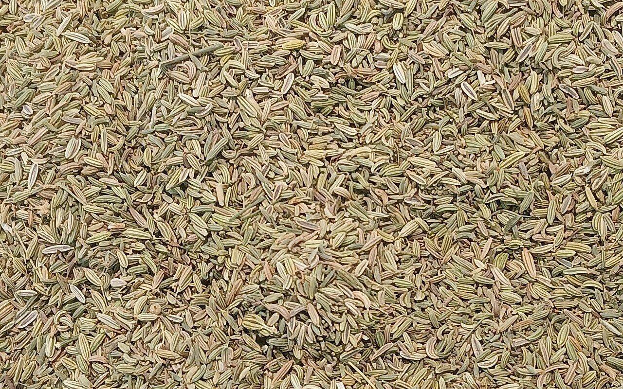 Dried cumin seeds