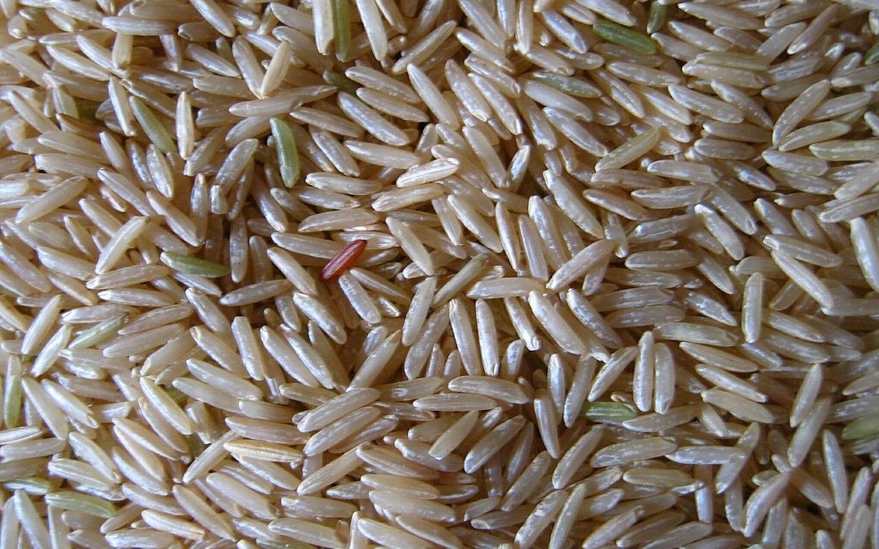 Long-grain rice